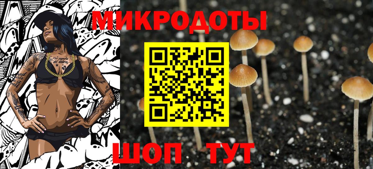 Галлюциногенные грибы Psilocybe  Вход с VPN  Чернушка 