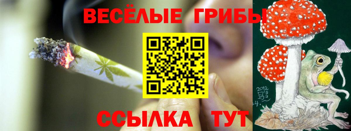 Псилоцибиновые грибы Psilocybine cubensis Чернушка